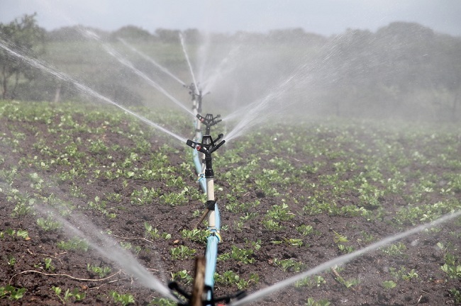 irrigation-588941_960_720.jpg