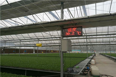 智能大棚控制系统有什么优势